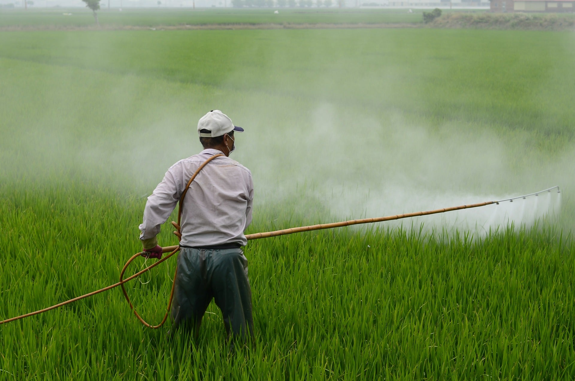Glyphosate: How To Minimize Your Exposure To This Toxic Herbicide